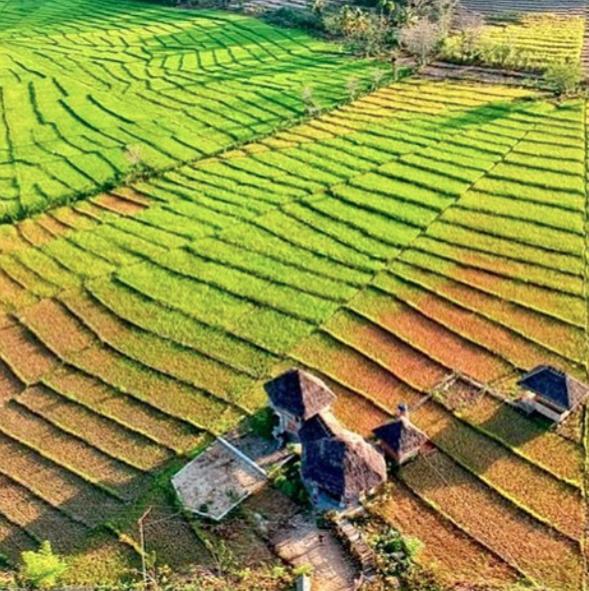 Tado Homestay Limbung 외부 사진